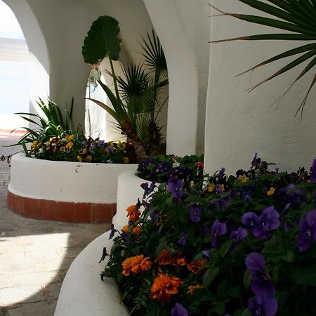 Casa Vacanze Elianto Анцио Экстерьер фото
