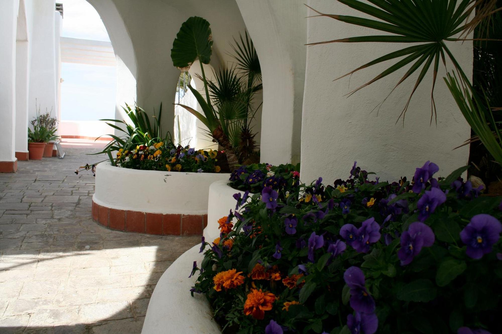 Casa Vacanze Elianto Анцио Экстерьер фото